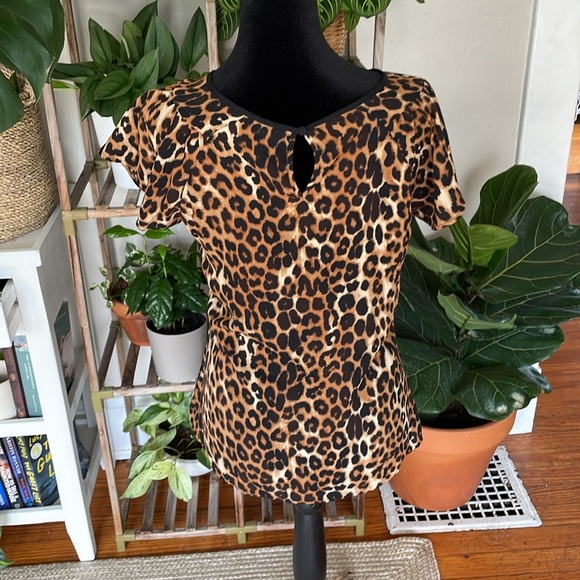 Express cheetah print top - Picture 3 of 5